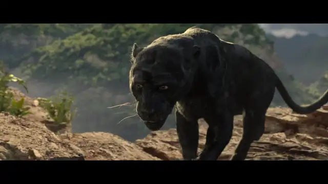 Mowgli Il figlio della giungla - ماوكلي مدبلج للعربية Mowgli Il figlio della giungla - ماوكلي مدبلج للعربية