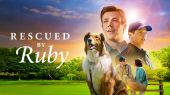 Agente speciale Ruby - Rescued by Ruby - Family, Drama