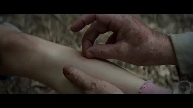 Pet Sematary - مقبرة الحيوانات الأليفة