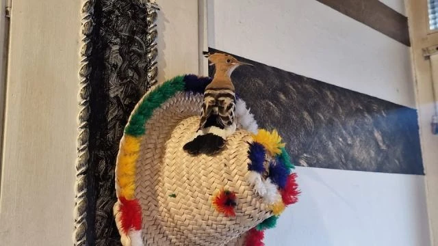 HudHud - الهدهد يلعب في جهازي